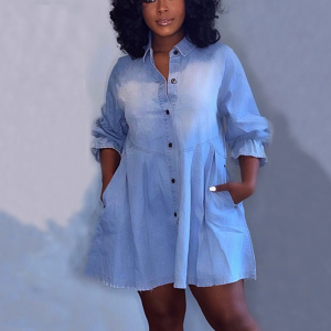Denim Dreams Dress